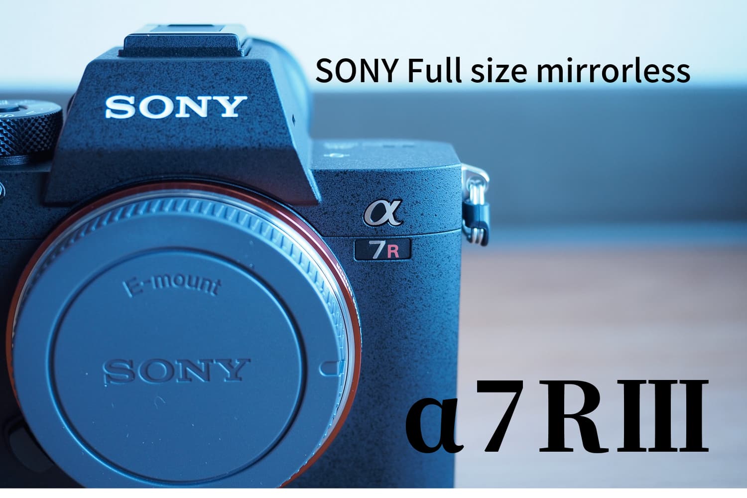 カメラをSONYのフルサイズミラーレス機α7RⅢへ買い換えました。 | yuruyama