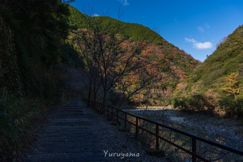 福知山廃線敷の紅葉