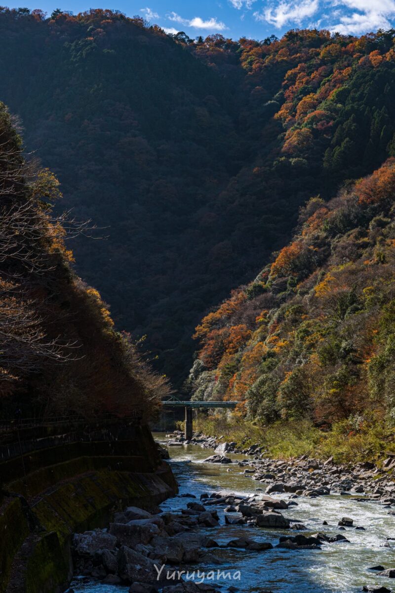武庫川渓谷の紅葉と廃線敷