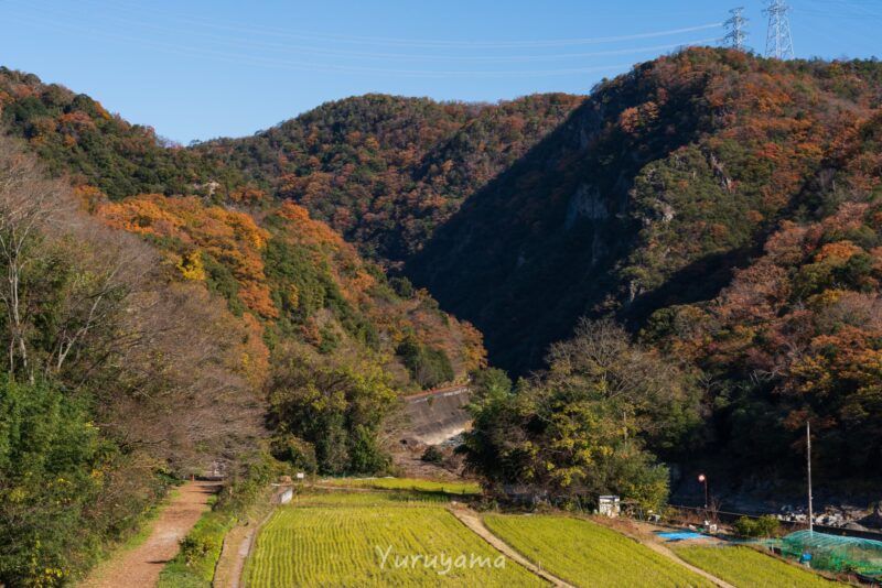 武庫川渓谷の画像