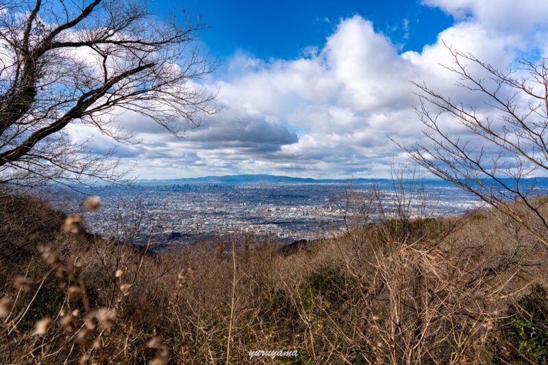 生駒山から見える大阪平野の展望