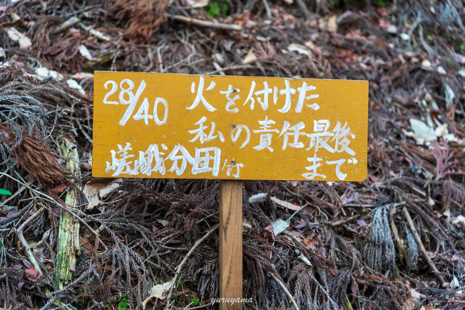 愛宕山登山道の画像5