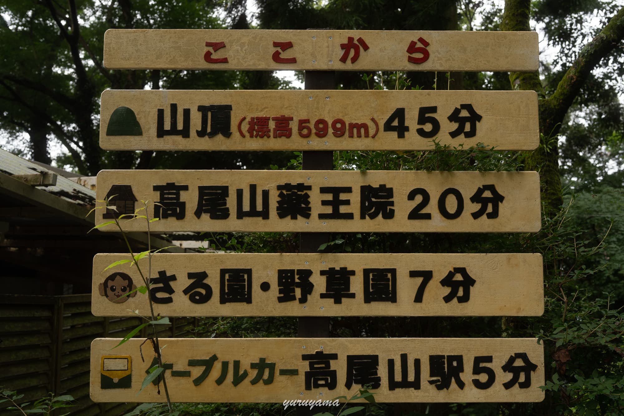 高尾山のルート情報の標識