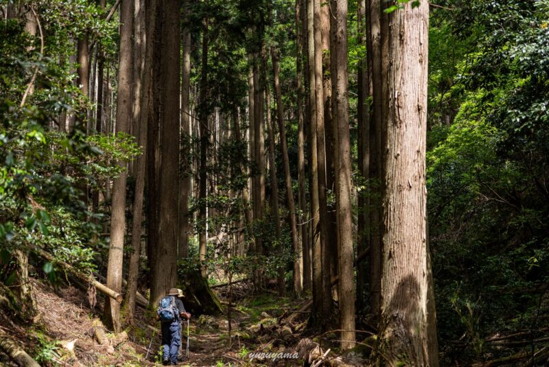 京都一周トレイル北山西部コースの盗人谷の画像1