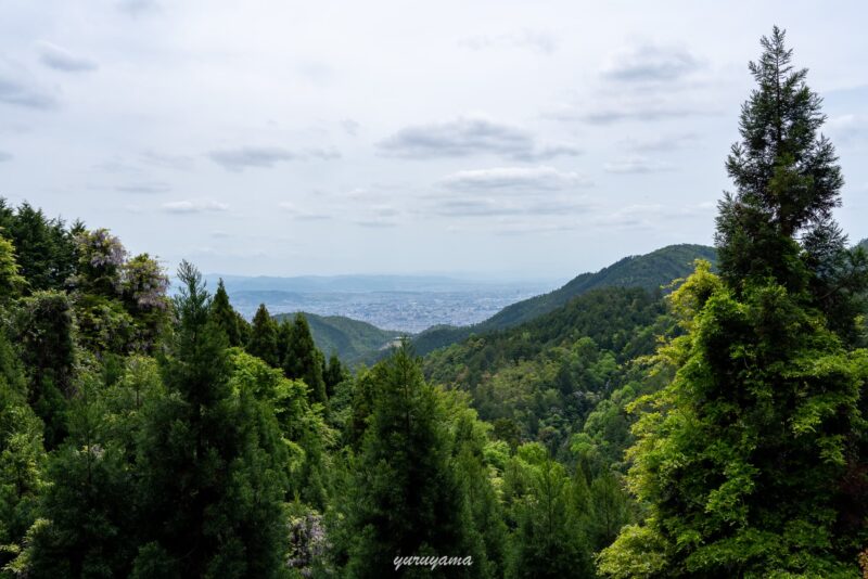 京都一周トレイル北山西部コースから見る京都市街