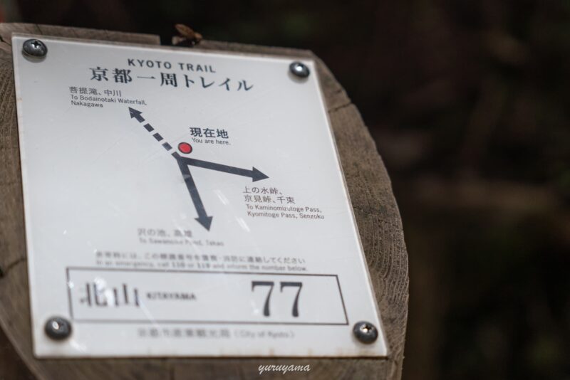 京都一周トレイル北山西部コースの道標#77