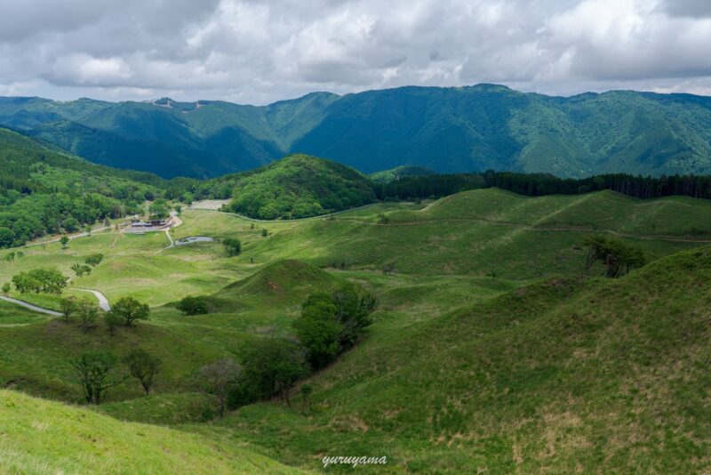 新緑の砥峰高原の画像２
