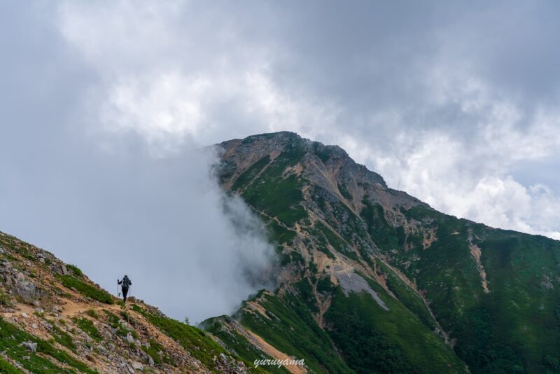 パノラマ銀座縦走の登山道の画像