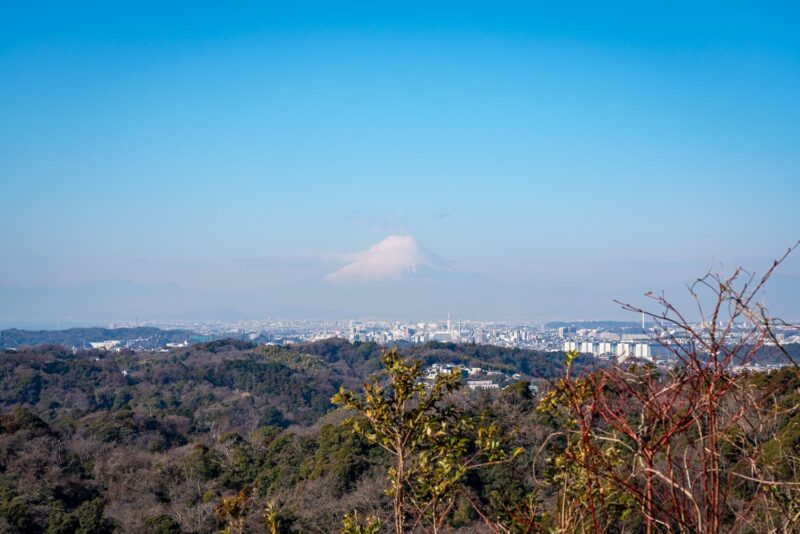 天園ハイキングコースから見える富士山