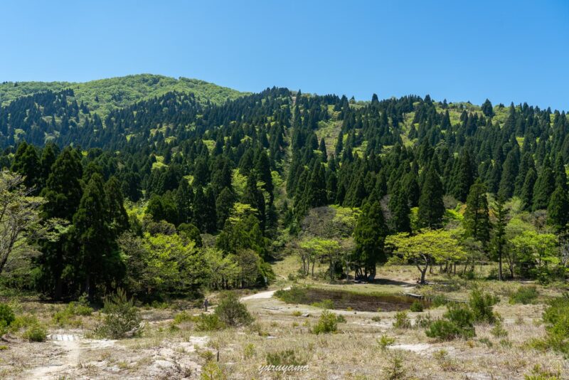 八雲ヶ原と武奈ヶ岳方面の画像
