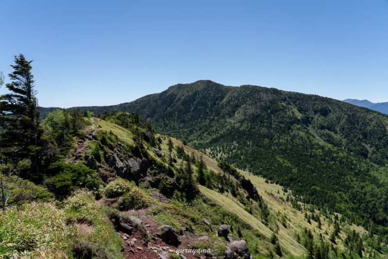 根子岳から見える四阿山