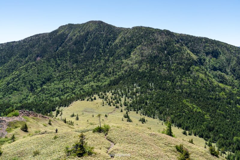 四阿山の山容