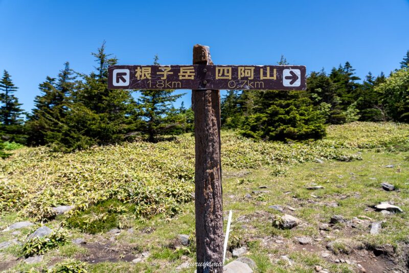 根子岳・四阿山の道標の画像