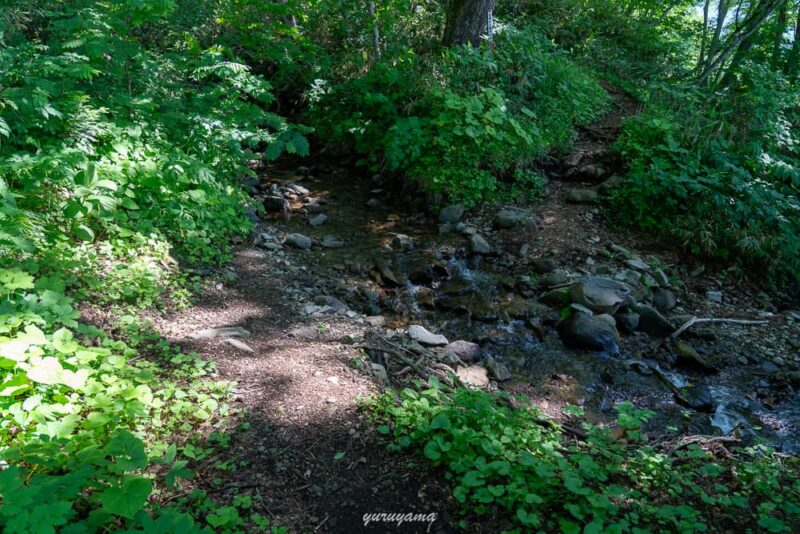 高妻山登山道、弥勒尾根の画像