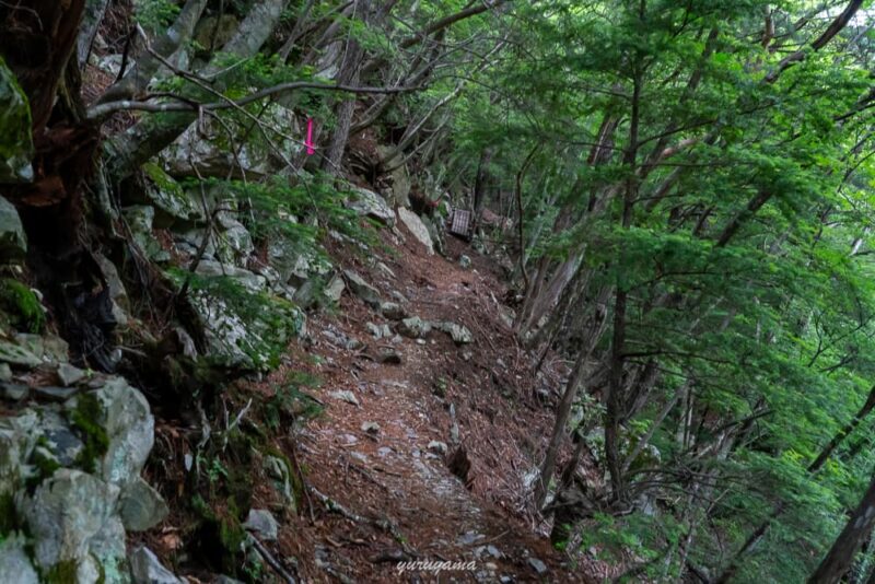 椹島から千枚小屋までの急登
