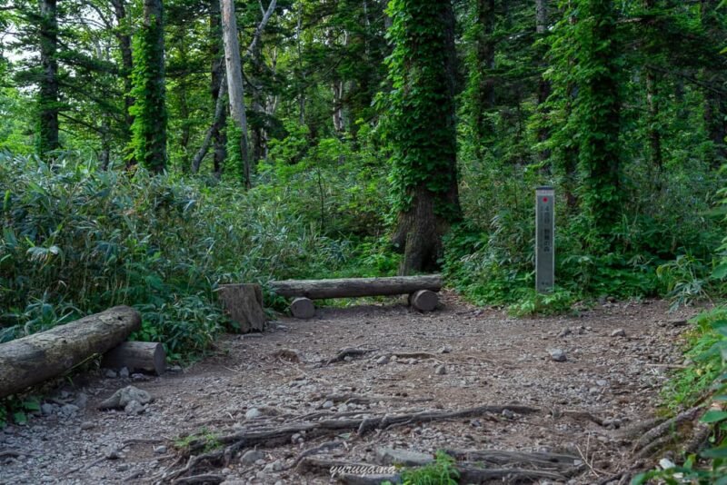 鴛泊コースの画像1