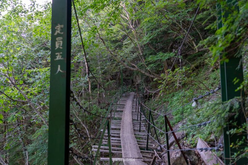 聖沢までの登山道にある吊り橋の画像