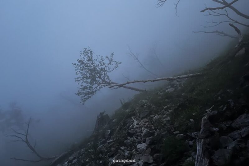 百間洞山の家から中盛丸山までの登山道の画像