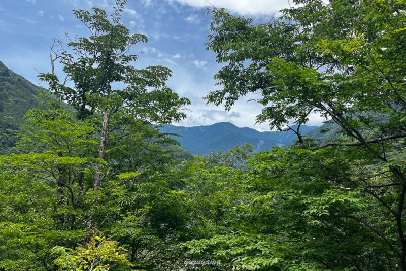 林道から見える茶臼岳