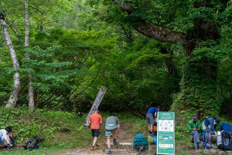 西銀座ダイヤモンド縦走路。折立から太郎平へ続く登山道の画像0