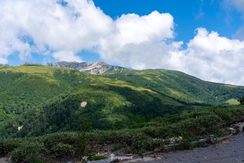 西銀座ダイヤモンド縦走路。折立から太郎平へ続く登山道で見える日本百名山の薬師岳の画像