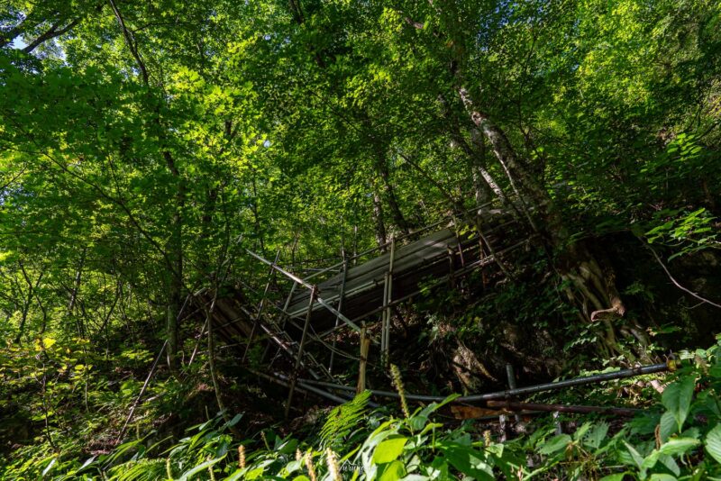 ブナ立尾根登山道の画像3