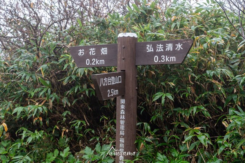 磐梯山登山道の画像