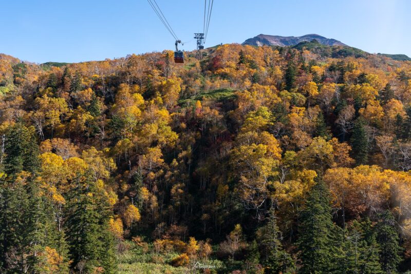 旭岳ロープウェイから見える大雪山の紅葉の画像1