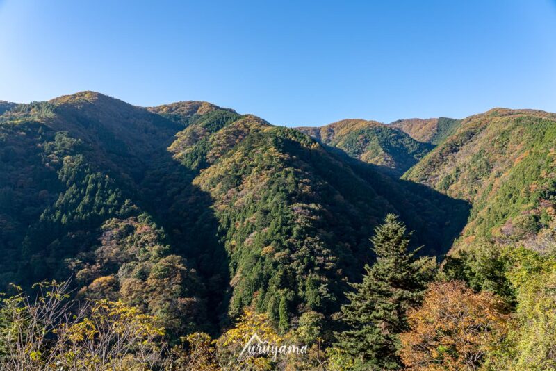 雲取山登山道の画像1