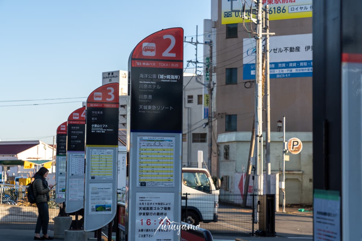 天城山縦走路登山口まではバス