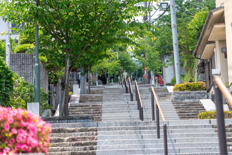 生駒駅から生駒山山頂まではひたすら石段を登る
