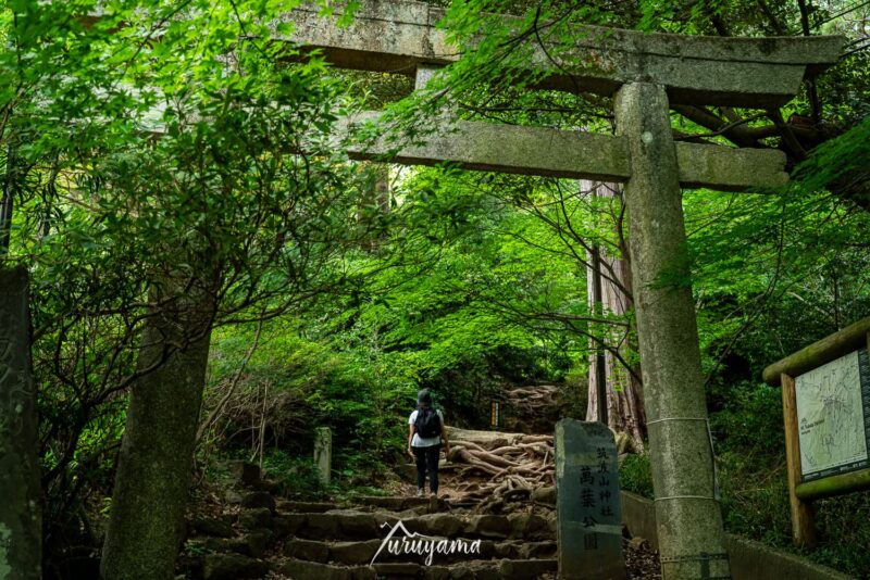 筑波山登山コース、御幸ヶ原コースの画像