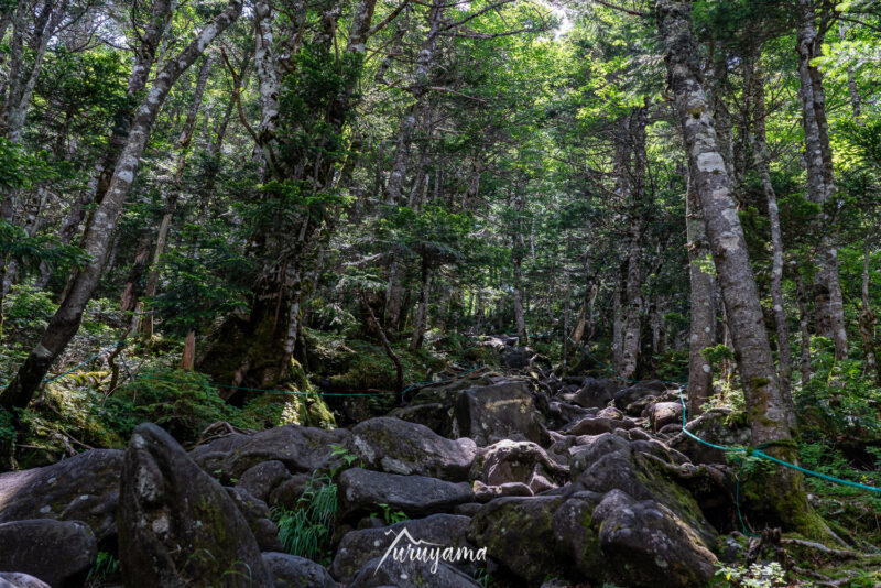 蓼科山の山頂への登山道