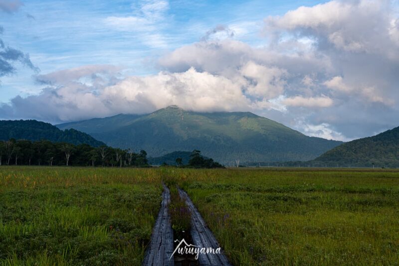 明け方の至仏山と尾瀬ヶ原の画像
