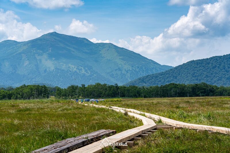 至仏山と尾瀬ヶ原の画像