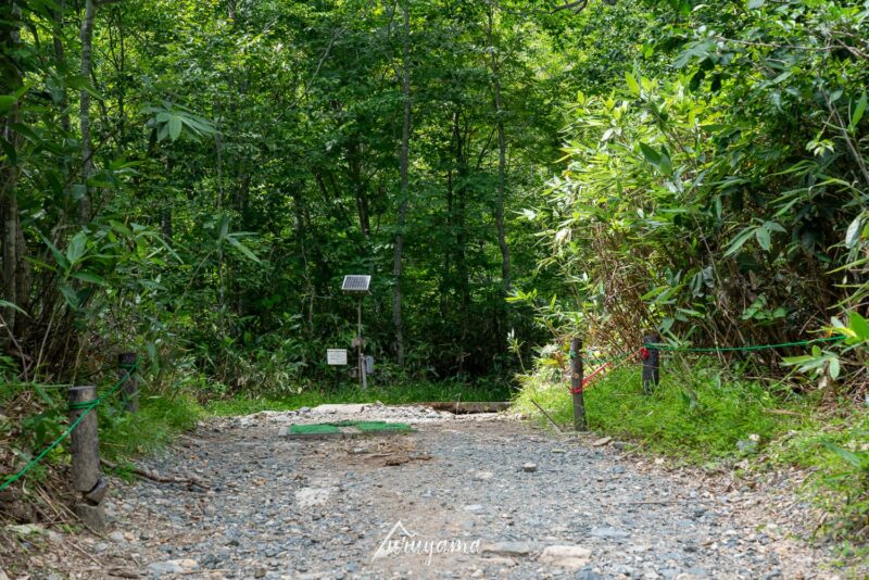 尾瀬の登山口の画像