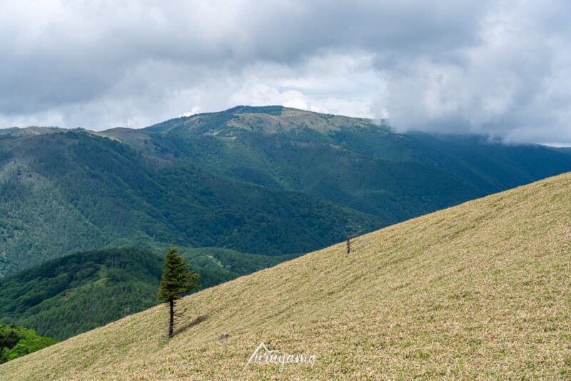 三峰山山容