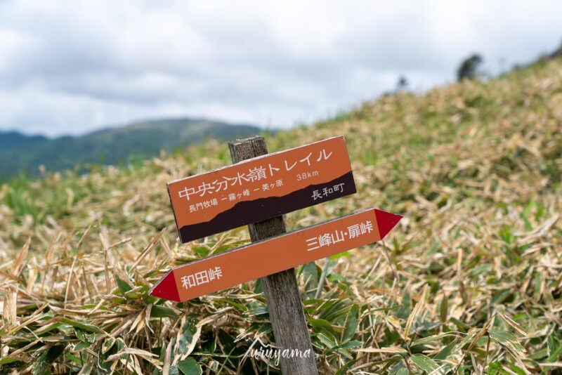 三峰山は中央分水嶺トレイルの道中