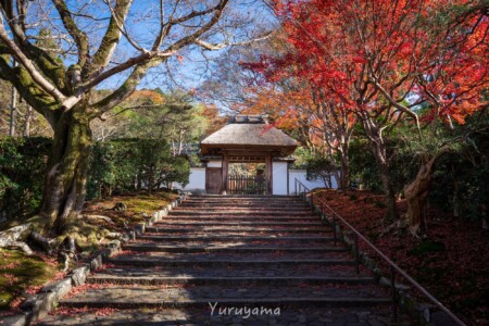 京都一周トレイル道中の寺社