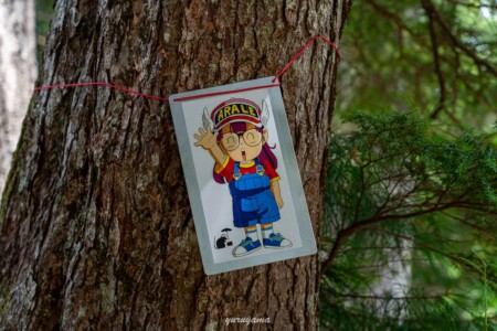 西銀座ダイヤモンド縦走路。折立から太郎平へ続く登山道の画像3